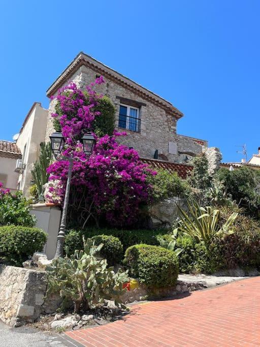 Strelizia - New Central Old Antibes For 4 Ac 外观 照片